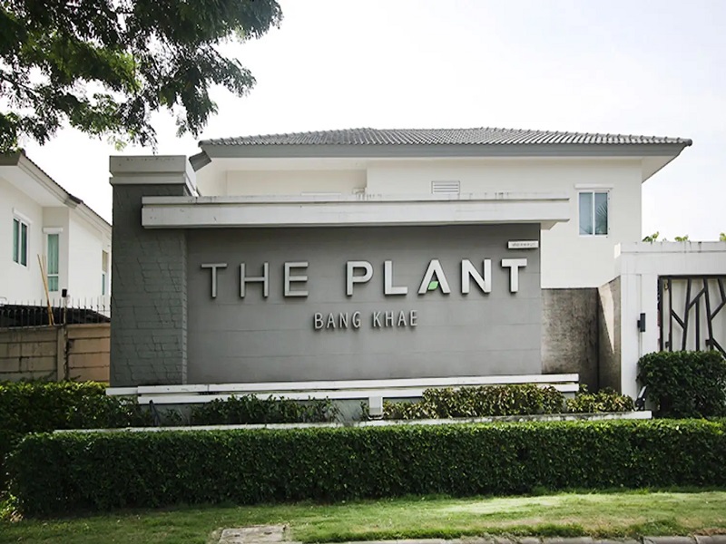 เดอะ-แพลนท์-บางแค